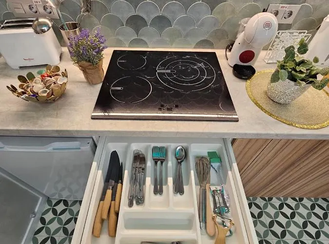 Lounge Garden Sea Mint Fresh