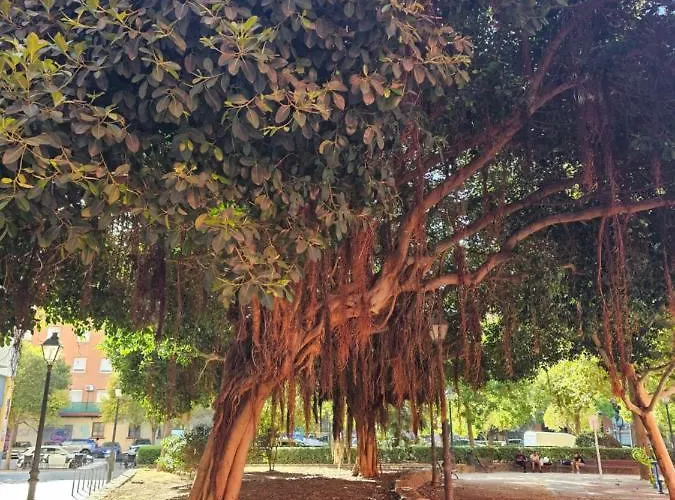 아파트 Lounge Garden Sea Mint Fresh *