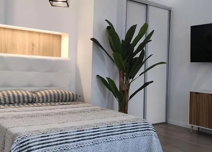 Estudio Diseno Cerca Ciudad Ciencias Vt-55211-v * Βαλένθια