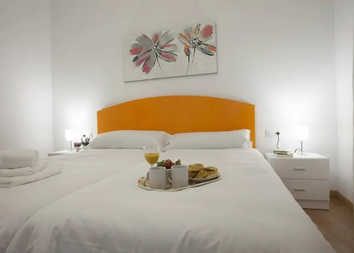 Singularstays Seu V *