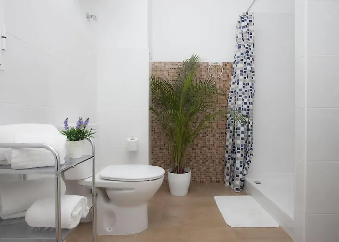 Singularstays Seu V * 발렌시아