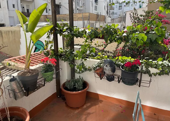 شقة Ruzafa Centro Ii فالنسيا