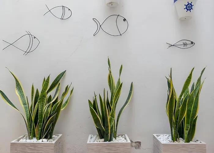 Διαμέρισμα Puerto Βαλένθια