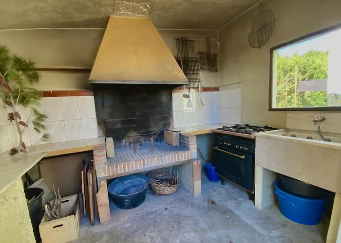 Beautiful With Huge Private Pool And Vineyard View 발렌시아