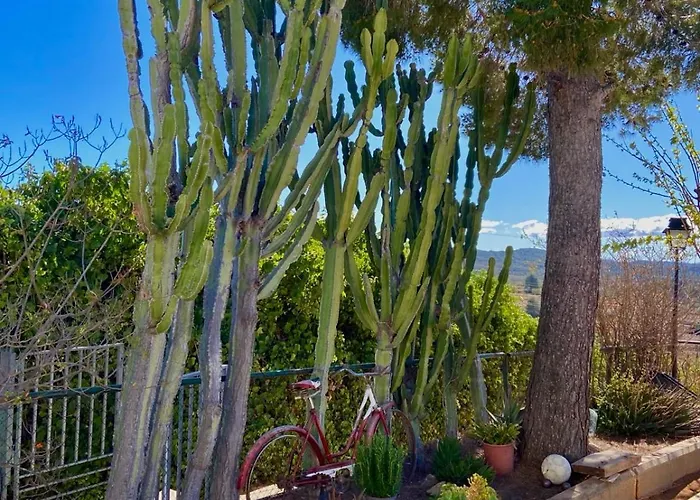 Villa Beautiful With Huge Private Pool And Vineyard View