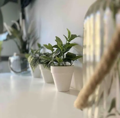 - Cabanyal Boutique Holiday home *