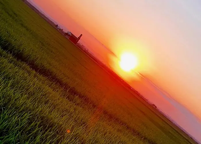 Privat bolig Albufera *