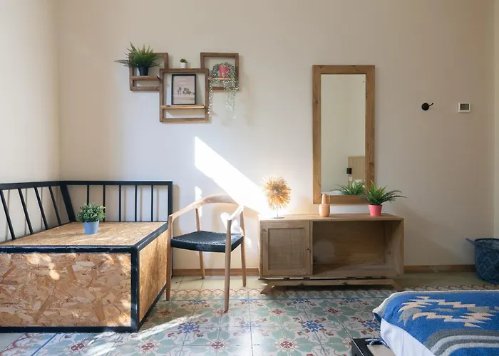 Bird House 3* Valencia