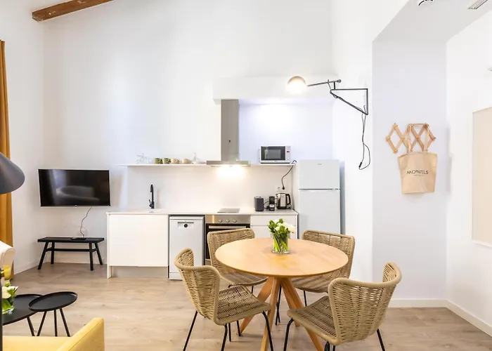 Moontels Plaza De Vannes Appartement Valence