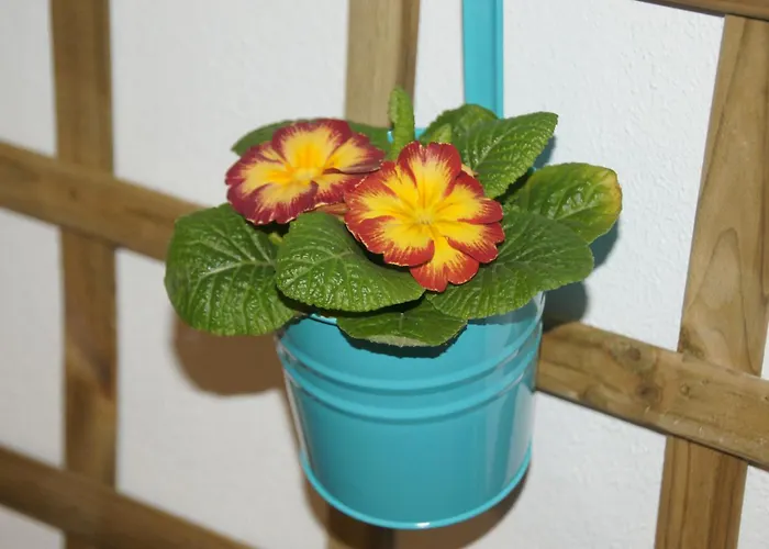 Cerca De La Marina En *