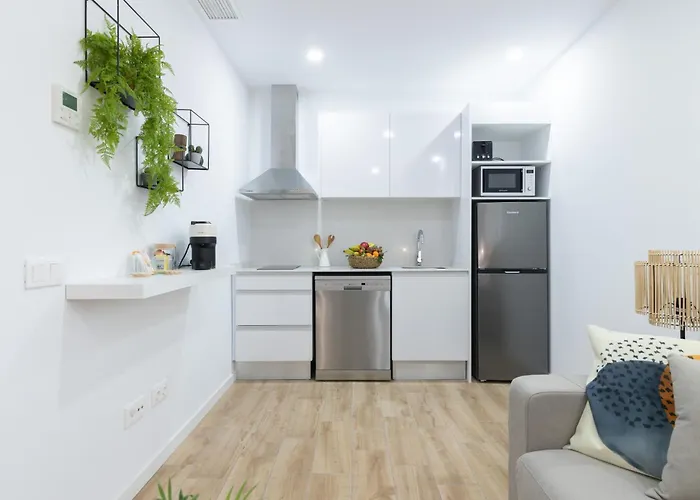 Dormforyou Arena Standard