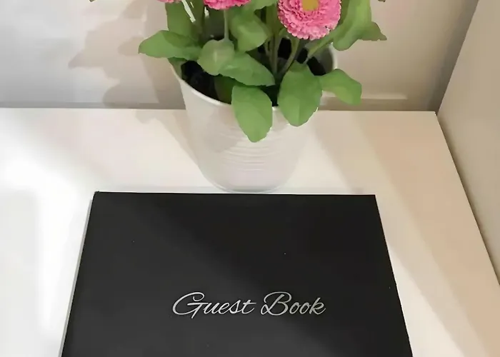 Apartment Estudio En El Corazon De Al Lado Catedral