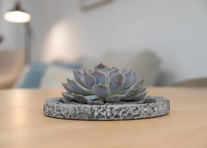 아파트 Cid 90 Flat By Concept *