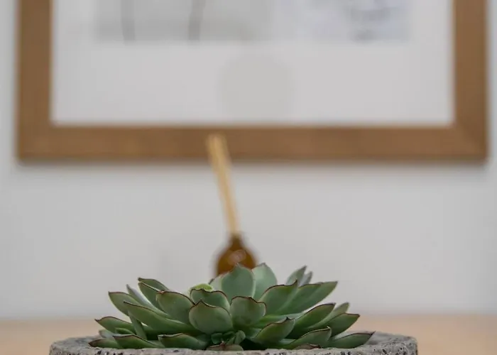 아파트 Cid Flats By Concept *