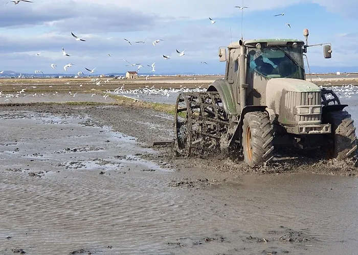 Cerca Del Centro Valence