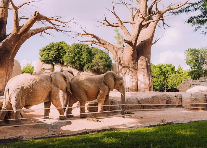 منزل للإقامة Centrica De Lujo Gv 2