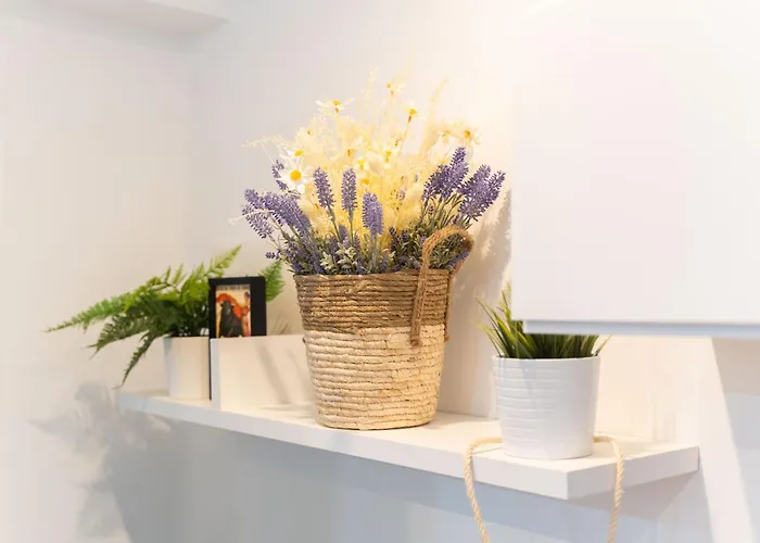 Fantastic Near & Science