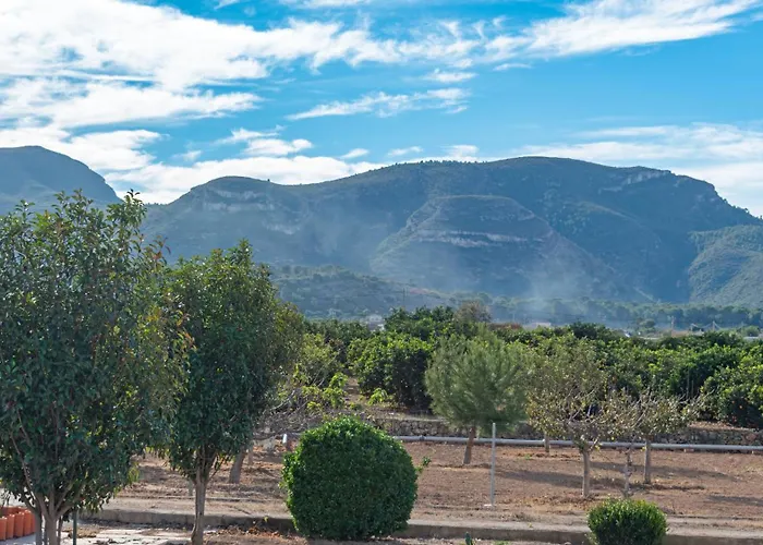 Orange Blossom Unique *