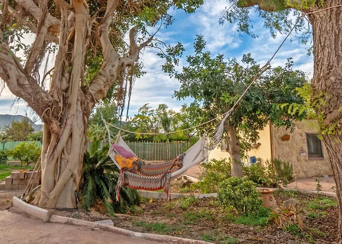 Orange Blossom Unique *