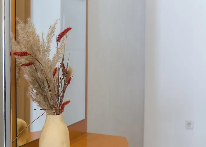 Piso Familiar Cerca Del Centro, Ac Y Wifi Gratis *