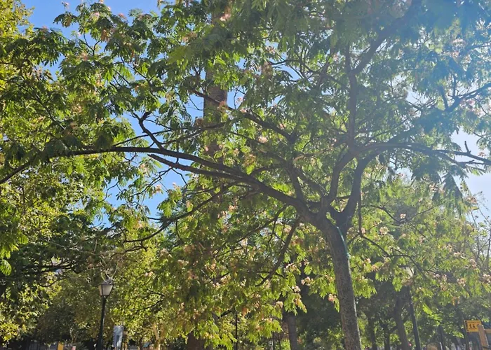 Lounge Garden Sea Mint Fresh * 발렌시아