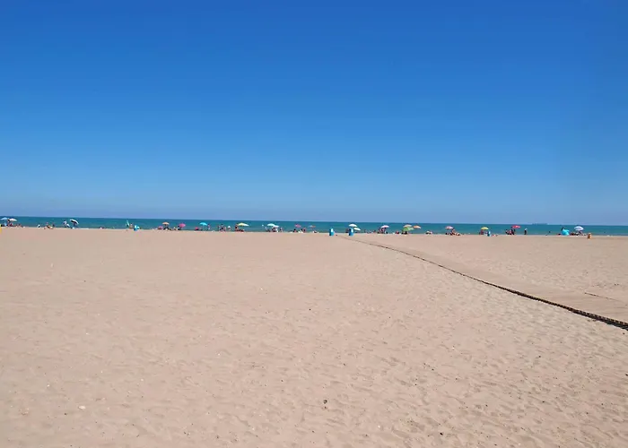 Ciencias D 발렌시아