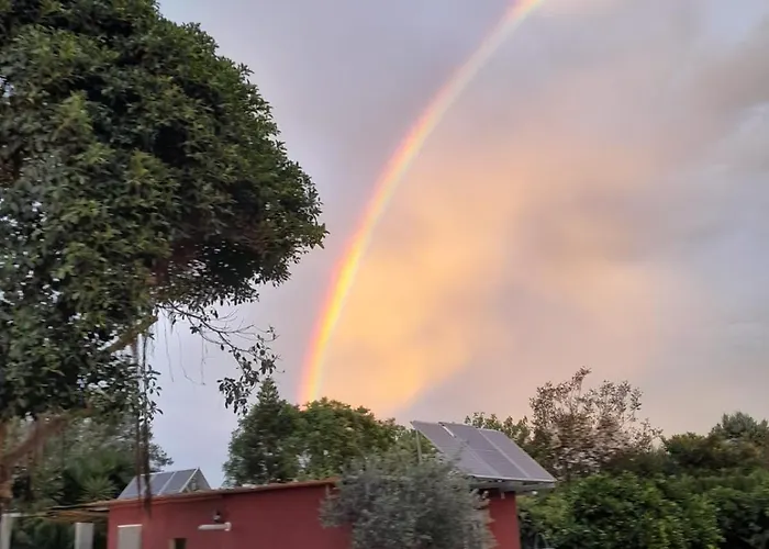 Orange Blossom Unique *