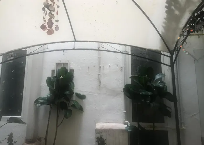 B&B Papillon 발렌시아