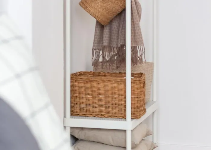 Vlc Host - Leones * Βαλένθια