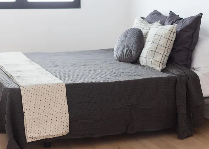 Vlc Host - Leones 발렌시아