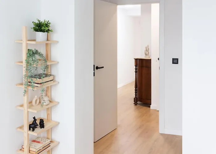 Vlc Host - Leones * 발렌시아