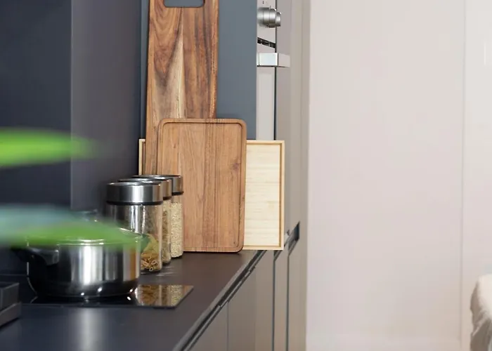 Vlc Host - Leones * 발렌시아