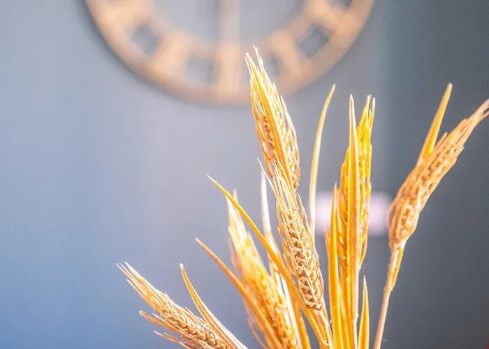 Amazing With Afun And Friendly Atmosphere