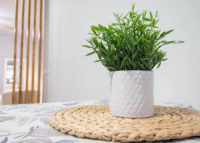 شقة Parque Del Turia By Concept Flats فالنسيا