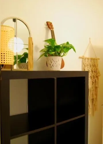 홈스테이 Centrica *