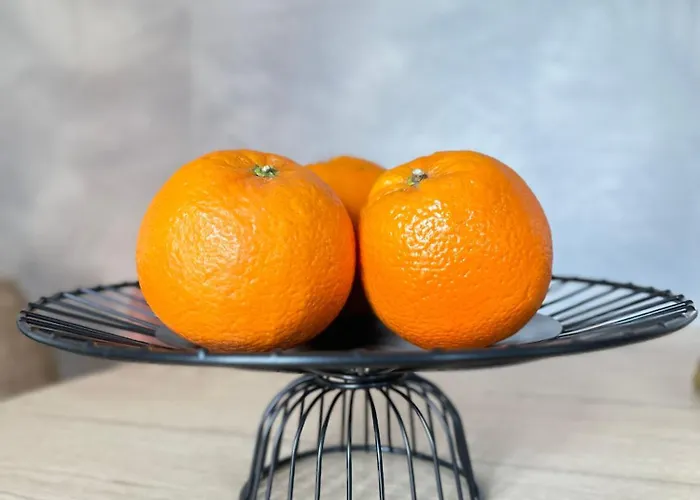 Cozy Up Spain فالنسيا