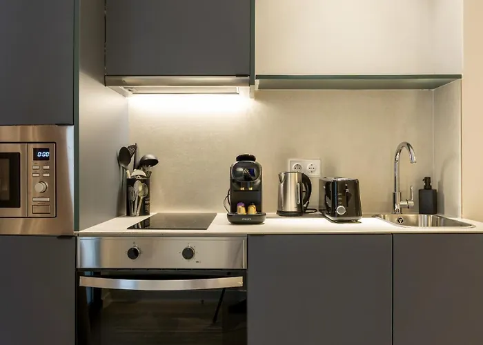 Osito Hub - Pintor Nicolau