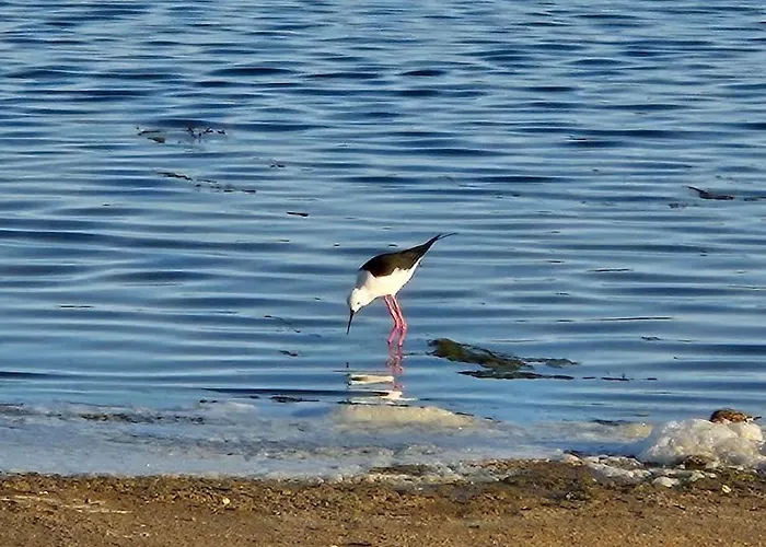 Apartamento Lake & Sea Apartamento