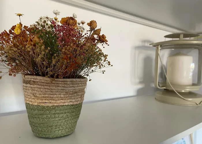 아파트 Excelente Atico Con Gran Terraza Y Barbacoa En Canet D'en Berenguer