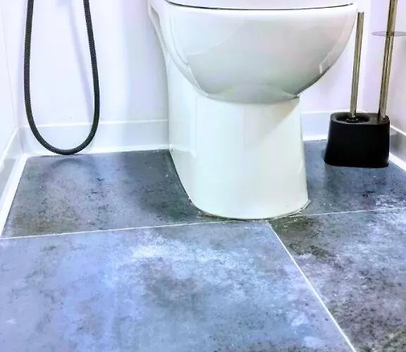 Ynfinity فالنسيا