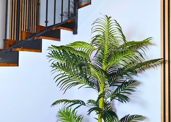 Apartahotel Ynfinity 3*