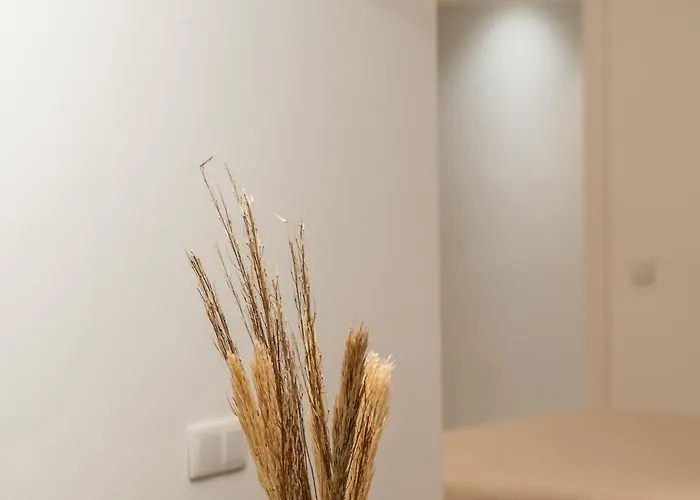 Διαμέρισμα Deluxe - Aiora *