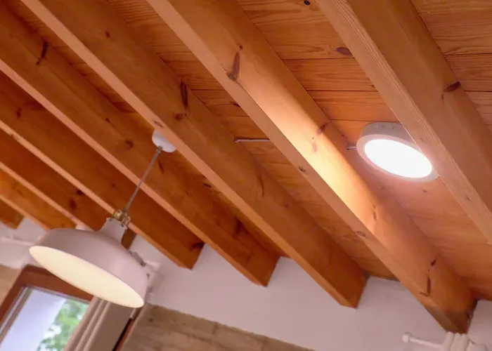 De Diseno En Plaza Del Carmen F4