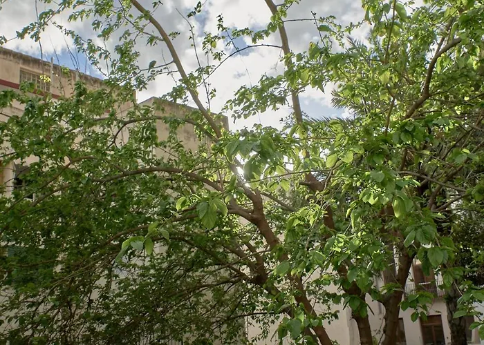 Διαμέρισμα De Diseno En Plaza Del Carmen F4