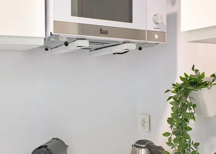 De Diseno En Plaza Del Carmen F4