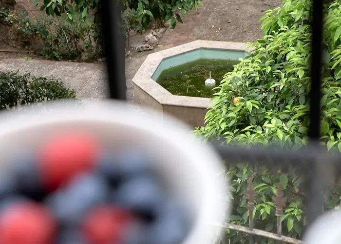 De Diseno En Plaza Del Carmen F4