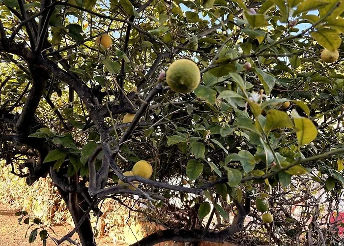 Mediterranean House In * 발렌시아