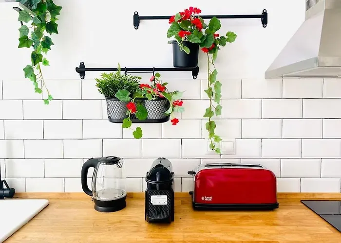 شقة Flat For Family & Groups *