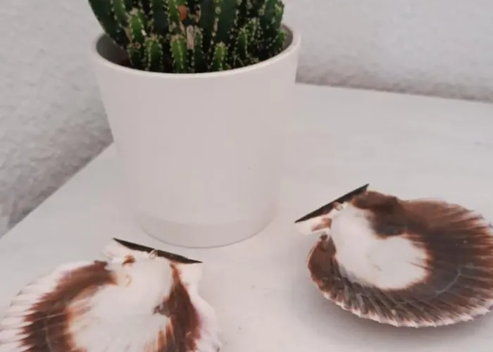 Blue Double Private At Front - En La Playa Piso Compartido Βαλένθια