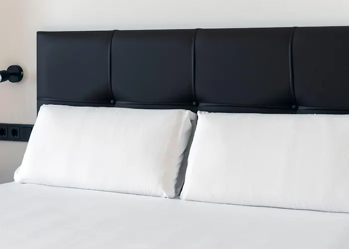 Vlc Host - Zapadores